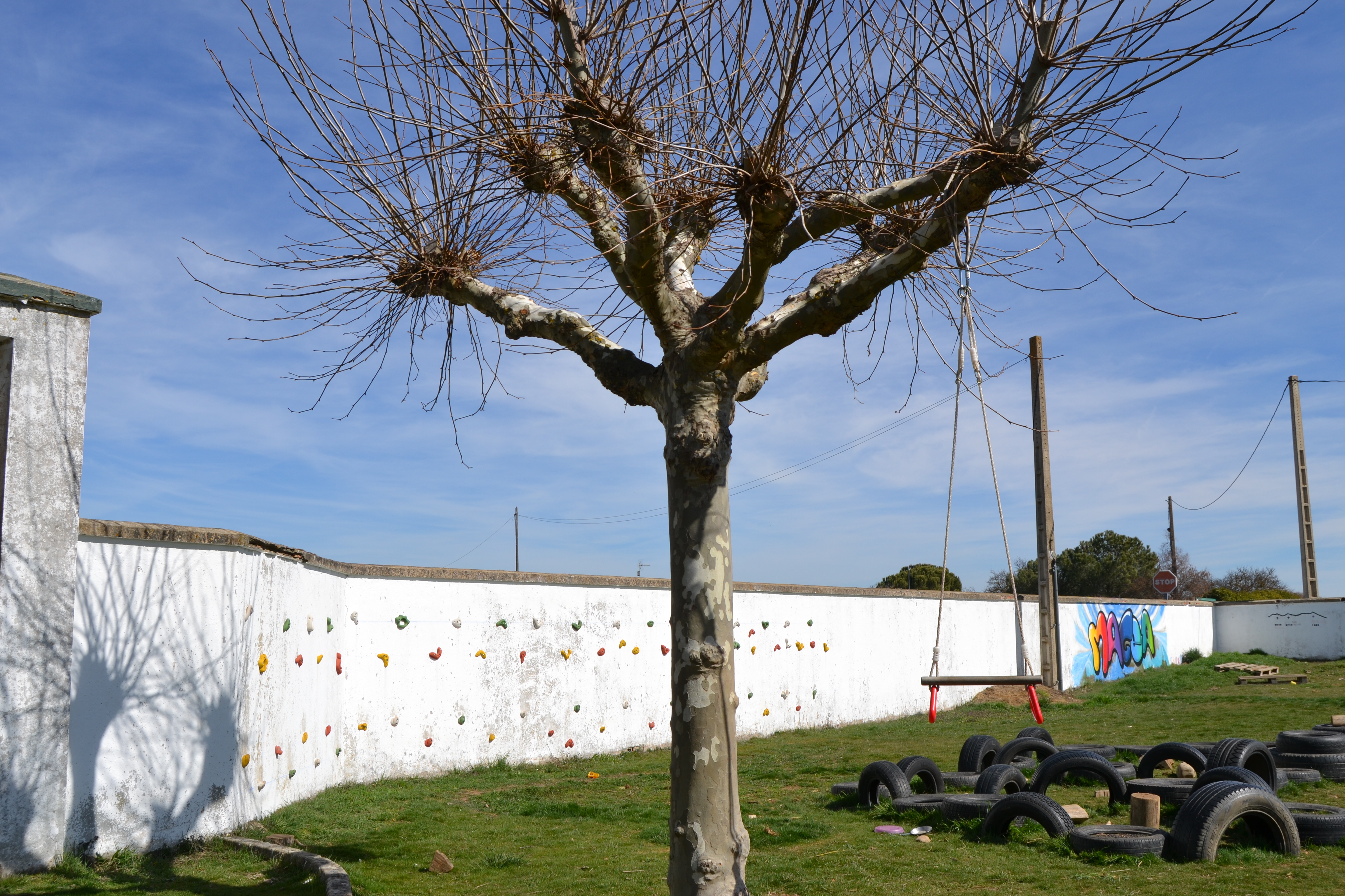 EXTERIOR - Rocodromo, columpios y parque de neumaticos