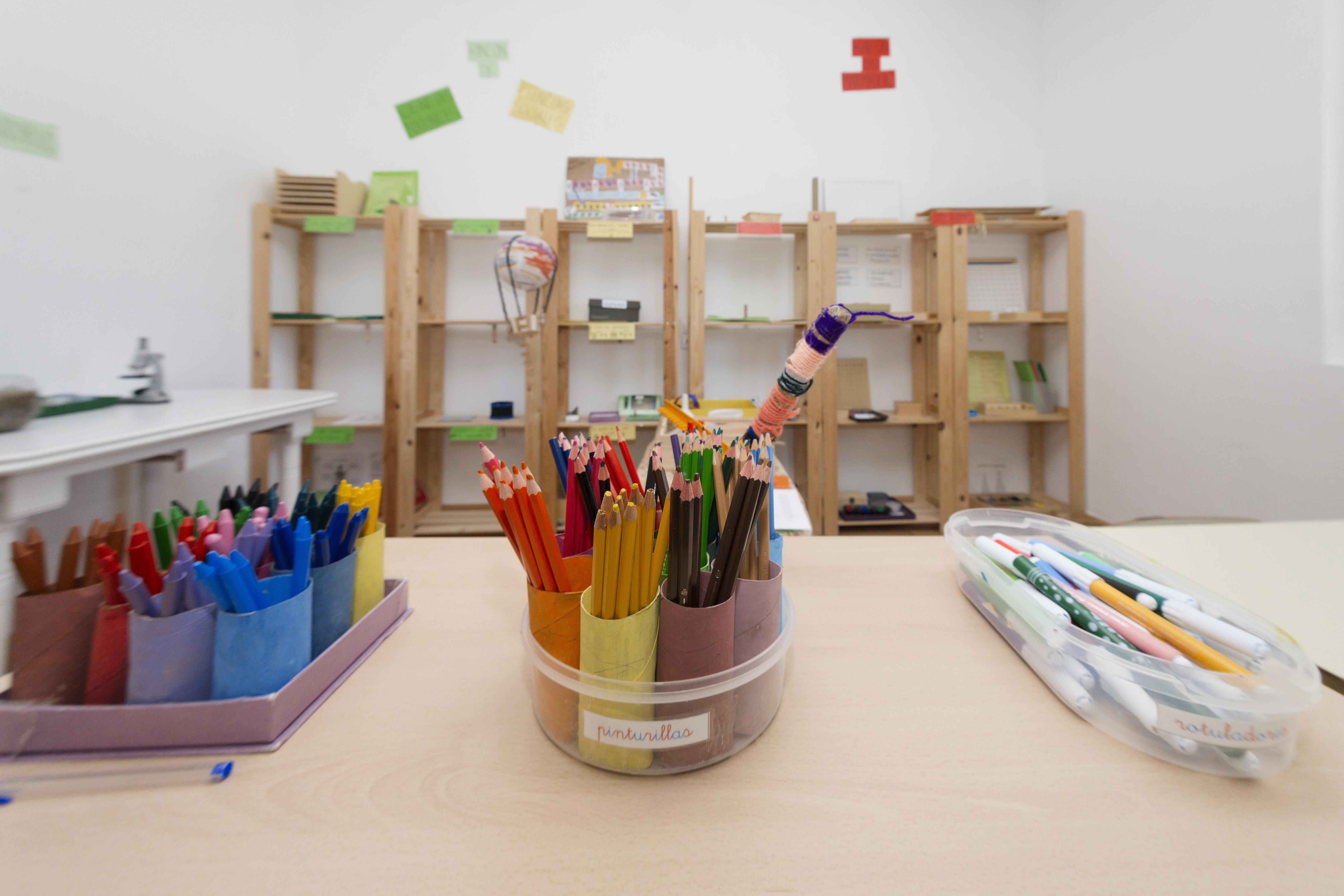 ESCUELA - Metamorfosis, Ambiente de Cocodrilos
